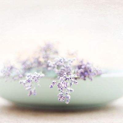 金年汇网页版登录入口